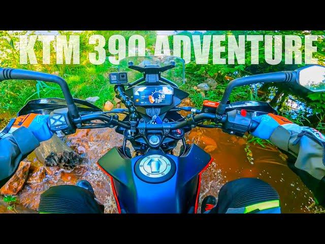 2023 KTM 390 Adventure Review | Top Speed - Wheelies - Hill Climbs - Jumps