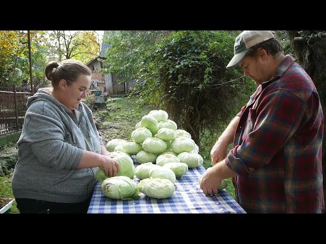 Varză murată la butoi     și    Cum se pune varza la murat la noi