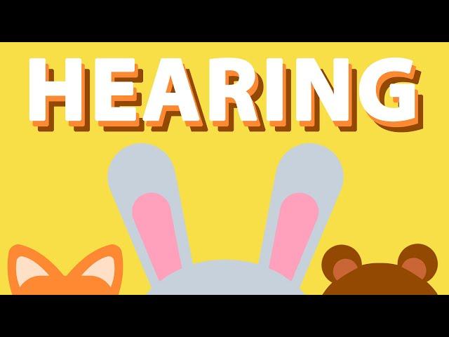 HEARING  | Five Senses Song | Wormhole Learning - Songs For Kids