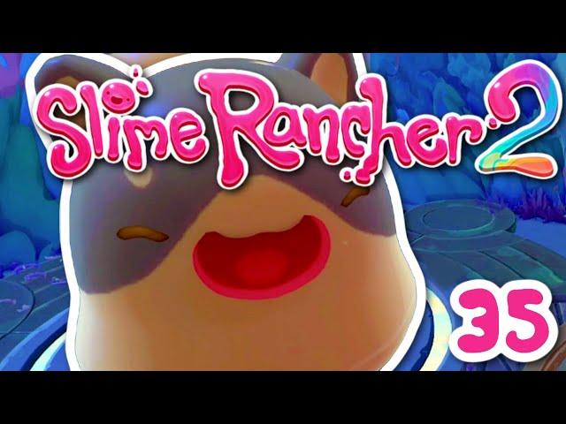 SLIME RANCHER 2 ~ RINGTAIL GORDO!! : 35