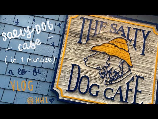 Salty Dog Cafe at Hilton Head Island in 1 Minute | Lo-Fi Vlog- T-shirt Factory, Food, & South Beach