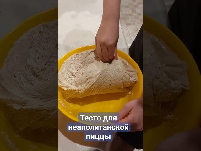 Тесто холодного брожения для неаполитанской пиццы.