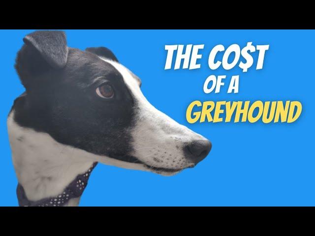 The real cost of a Greyhound