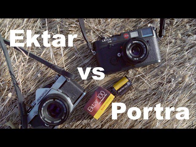 Ektar 100 vs Portra 160 // Leica M6 / Olympus OM 1