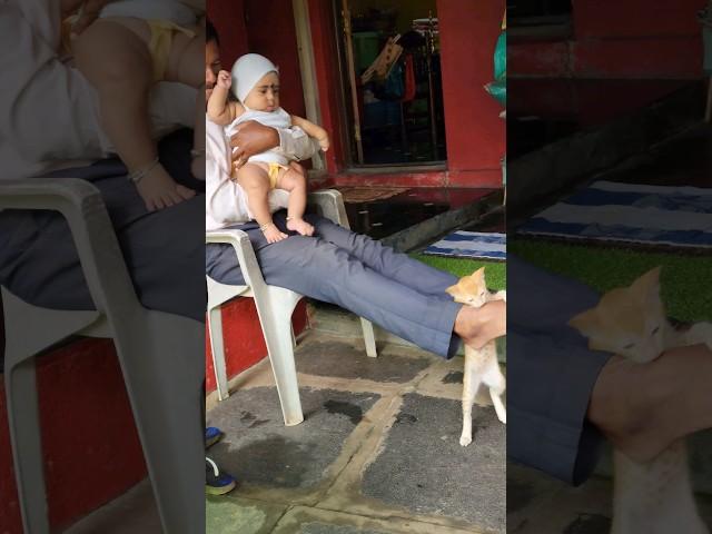 Baby playing with cat|#cutebaby#cat#babyplaying#love#music#reels#shorts#kunalkirtiwithnature