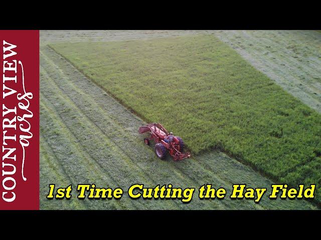 Cutting the Hay Field for the First Time.  But I got hurt afterwards.