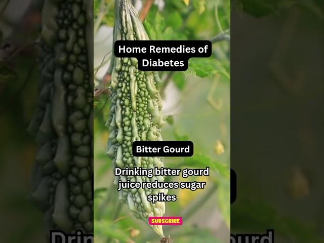 Bitter Gourd: The Secret Weapon for Diabetes Management!