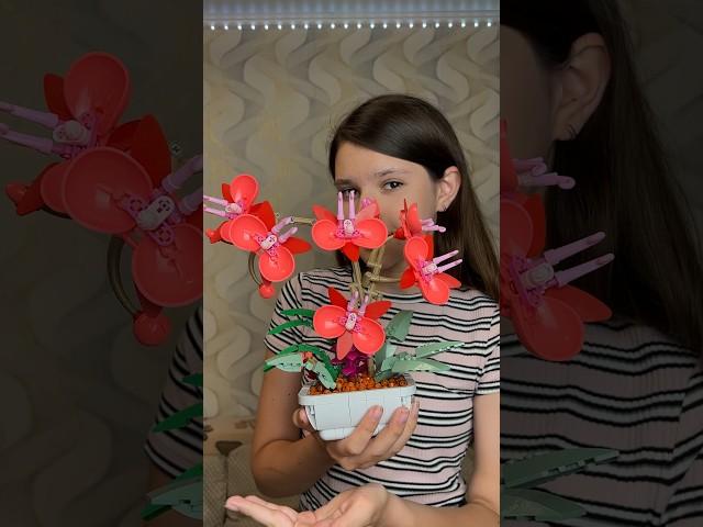 ЧУДОВІ КВІТИ WISEPLAY Orchid Flower КОНСТРУКТОР WISEPLAY