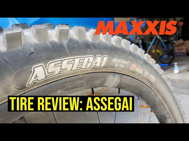 Maxxis Assegai // Long Term Review // The MINION KILLER