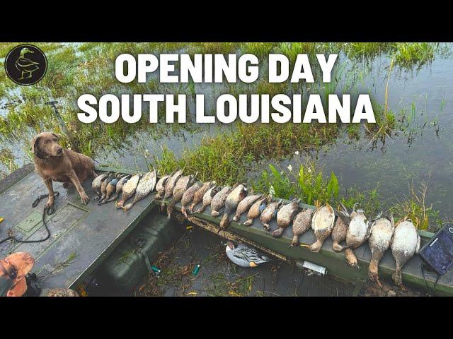Opening Day of Duck Season in South Louisiana!