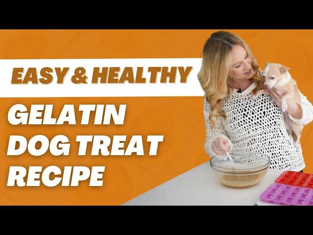 Easy Gelatin Dog Treat Recipe | Proud Dog Mom