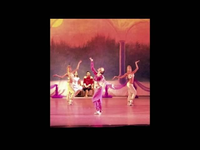 Arabian Princess - The Nutcracker