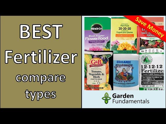 Selecting the Best Fertilizer   Compare Different Fertilizers