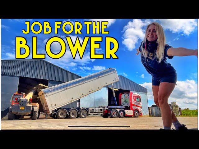 Job for the blower | we come up with a solution to get the job done