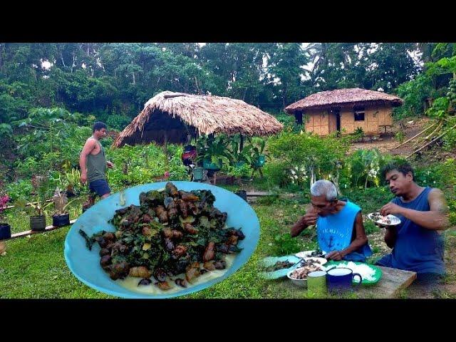 Buhay Probinsya Pag Luluto Ng Ginataang  Tabagwang At Gulay Na Langka| Binatang Pinoy