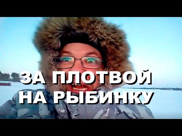 За плотвой на Рыбинское водохранилище. Февраль.