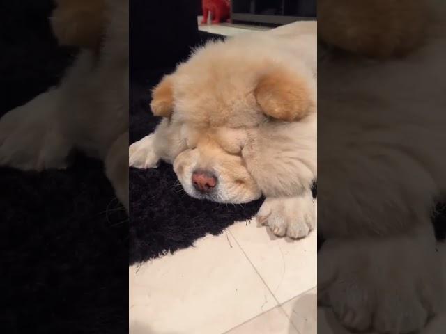 SO CUTE