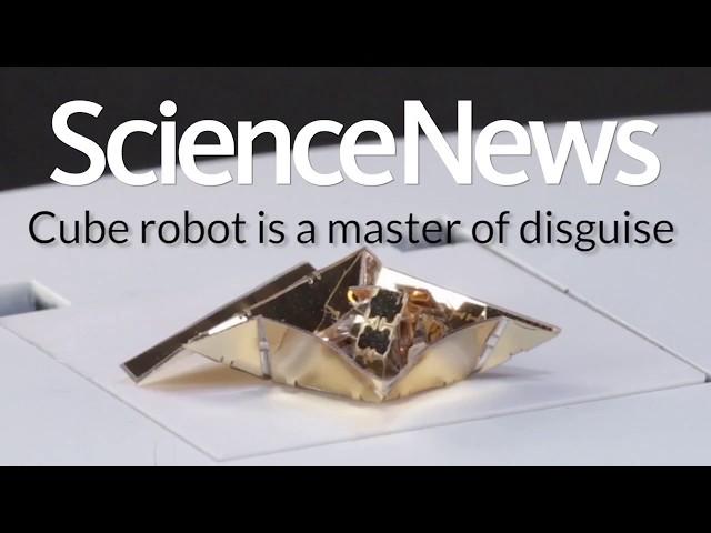 Cube robot is a master of disguise | Science News