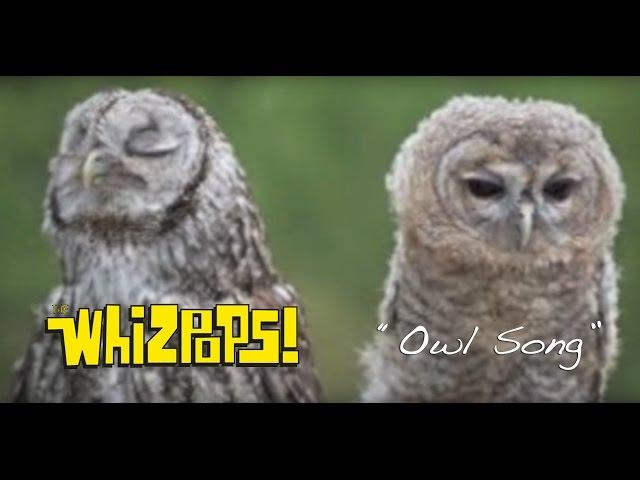 The Owl Song by The Whizpops!