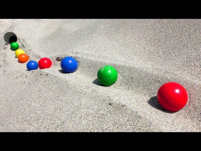 Marble Run Enjoyed in Nature  Fun Time with Rolling Balls