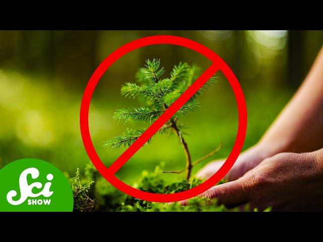 How Killing Trees Could Save The Planet