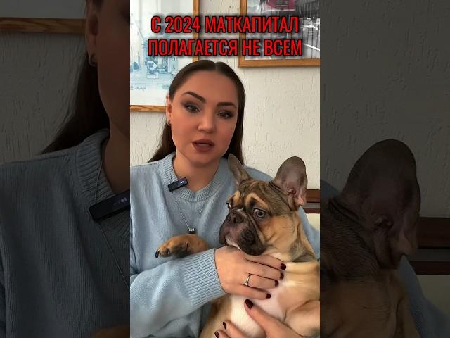 ‼️с 2024 материнский капитал полагается не всем. Все пособия и выплаты на детей Жми на 3 точки