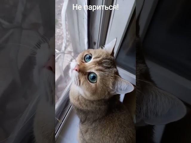 Секрет прост #юмор  Позитив от  Марселя. 05/16/2023 Secret