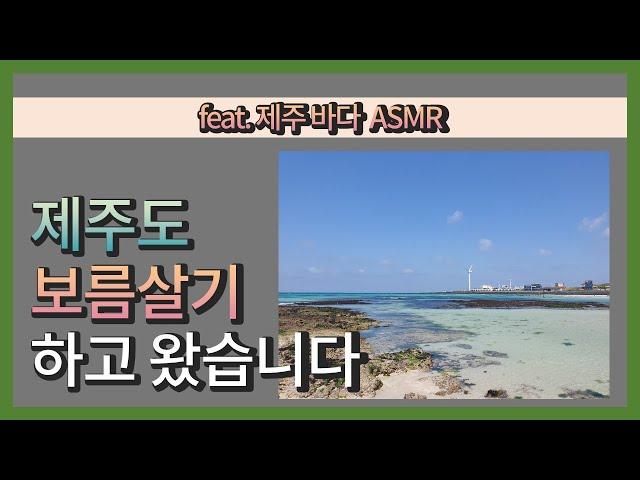 두 아이와 떠난 제주도 보름살이(1부) 제주도 보름살기 하고 왔습니다. feat. 제주 바다  ASMR