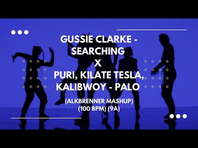 Gussie Clarke - Searching X Puri, Kilate Tesla, Kalibwoy - Palo (Alkbrenner Mashup) (100 BPM) (9A)