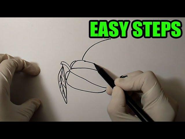 How to draw a star fruit | easy to draw