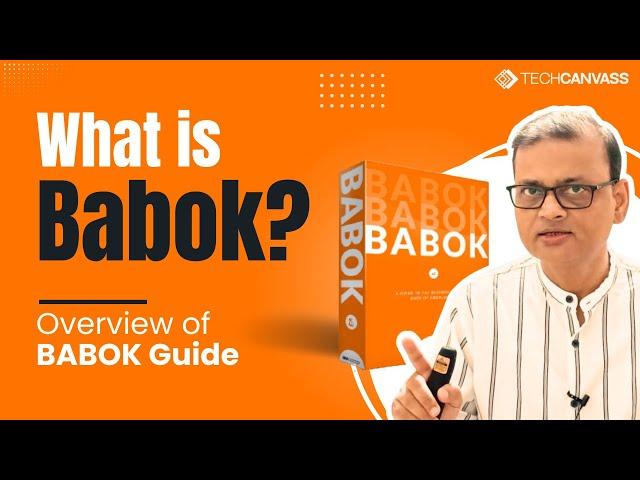 Introduction to BABOK | What is BABOK | What is inside BABOK - Techcanvass