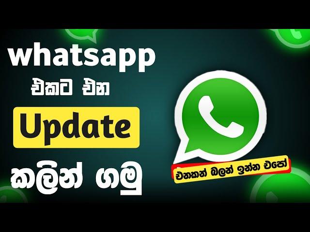 How to join whatsapp beta version in sinhala | Whatsapp Update  කාටත් කලින්