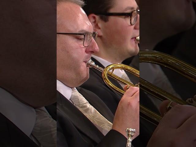 Vienna’s signature tune — "The Blue Danube"  #waltz #classicalmusic  #shorts