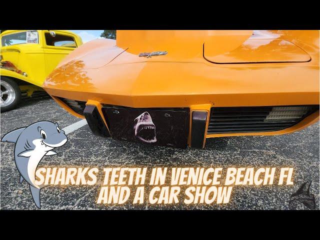 Looking for shark's teeth in Venice Beach FL and a car show