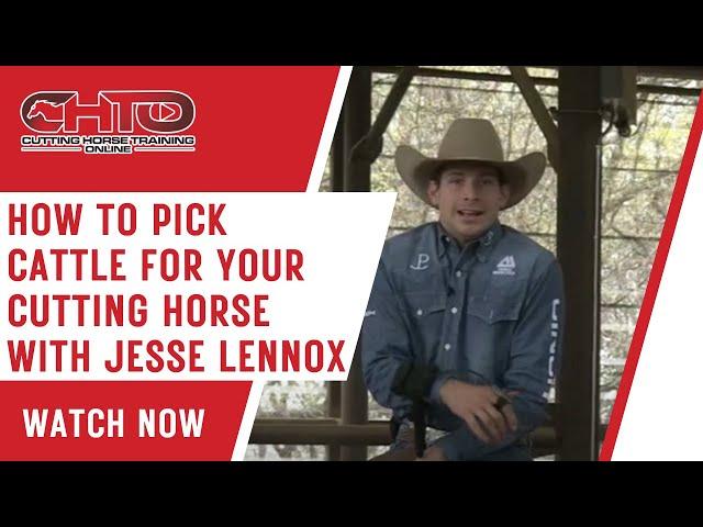 How To Pick Cattle For Your Cutting Horse with Jesse Lennox