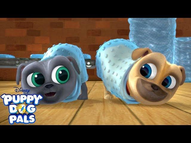 Bubble Wrapped! | Music Video | Puppy Dog Pals | Disney Junior