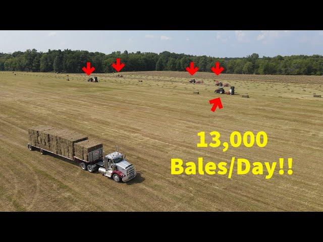 Family Farm with MASSIVE Hay Production (13,000 bales/day!!)