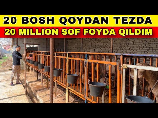 20 BOSH QOCHQORDA 20 MILLION DAROMAD QILISH VA BOQISH SIRLARI