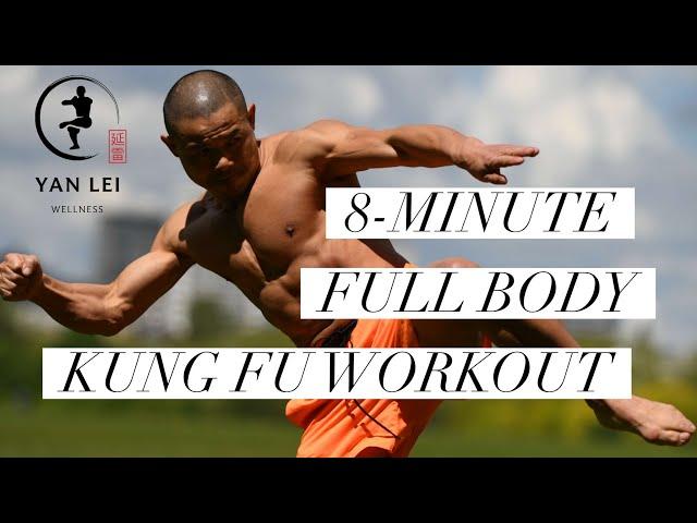 8 Minute Full Body Kung Fu Workout