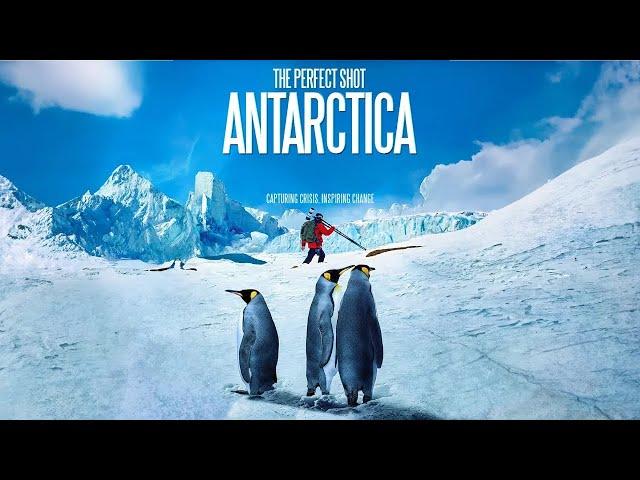 The Perfect Shot: Antarctica | Award-Winning Nature Film | Environmental Film | Climate Change