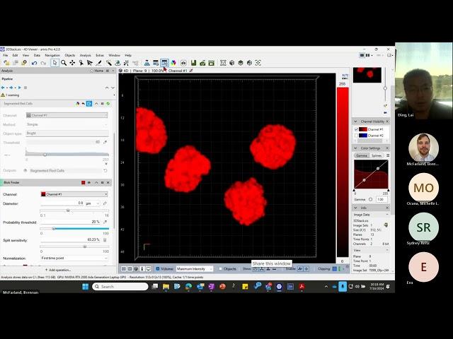 Zeiss Arivis Training III: Colocalization