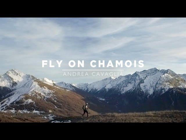 FLY on CHAMOIS | Chamois Hunting in the Alps