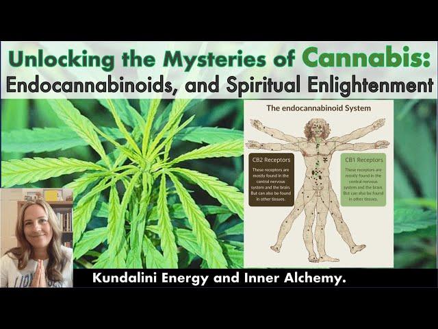 Cannabis and the Sacred Secretion | Kundalini Energy - Endocannabinoid System