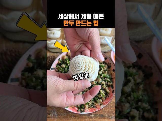 세상에서 제일 예쁜 만두 만드는 법