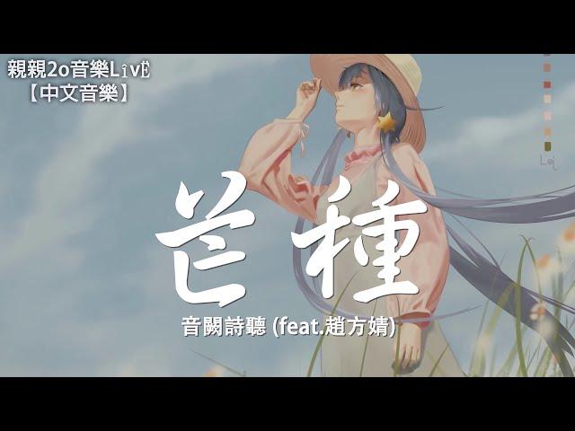 音闕詩聽 - 芒種 (feat.趙方婧)【動態歌詞Lyrics】