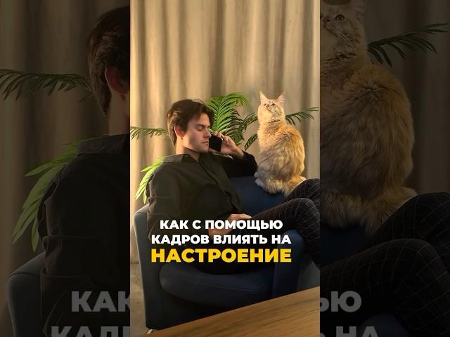 КАК КАДР ВЛИЯЕТ НА НАСТРОЕНИЕ