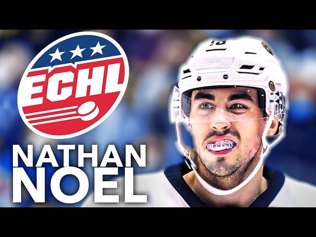 A Day in the Life | ECHL Hockey