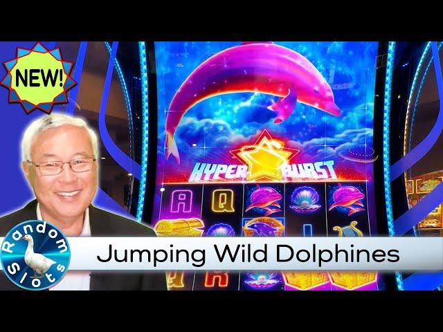 Dolphine Voyage Slot Machine Bonus