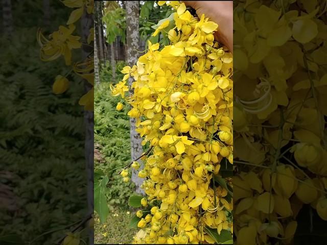 flower  #viralvideo #food #recipe #youtubeshorts #trending #test #youtube