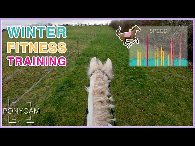 My Pony Gets Fit! || PonyCam